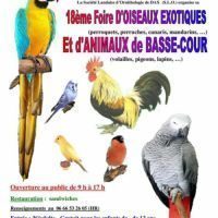 Exposition oiseaux #1
