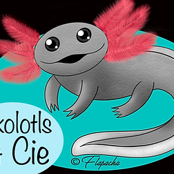 Axolotl ponte le 11 février 2024 #0