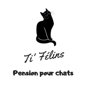 Pension pour chats Ti'Félins au Rouret 06650