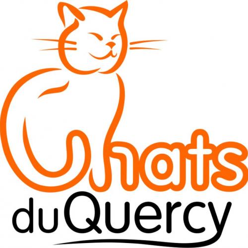 L'association Chats du Quercy